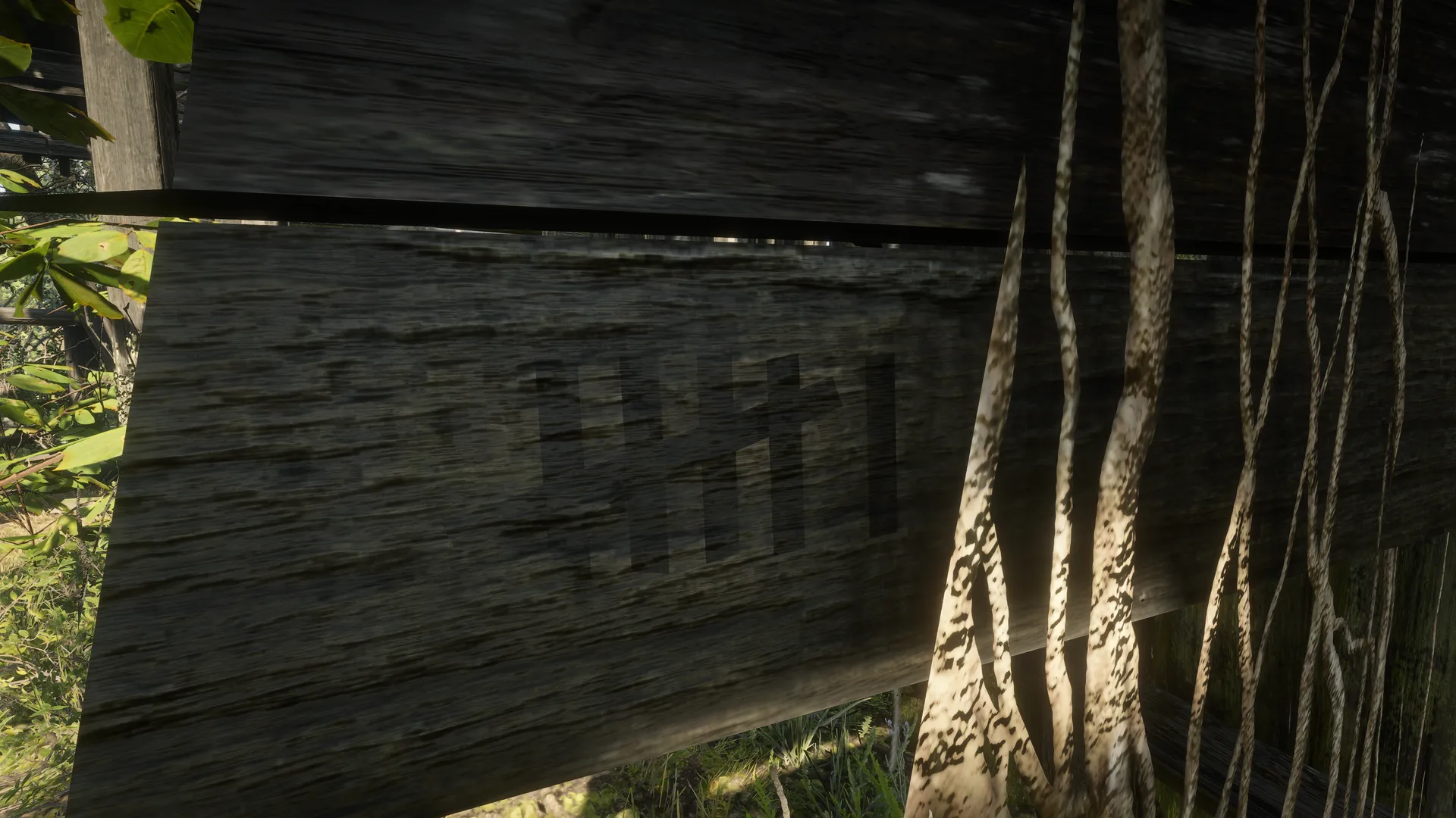 Tally marks carved into dark planks at Fort Brennand, vines hanging across them.