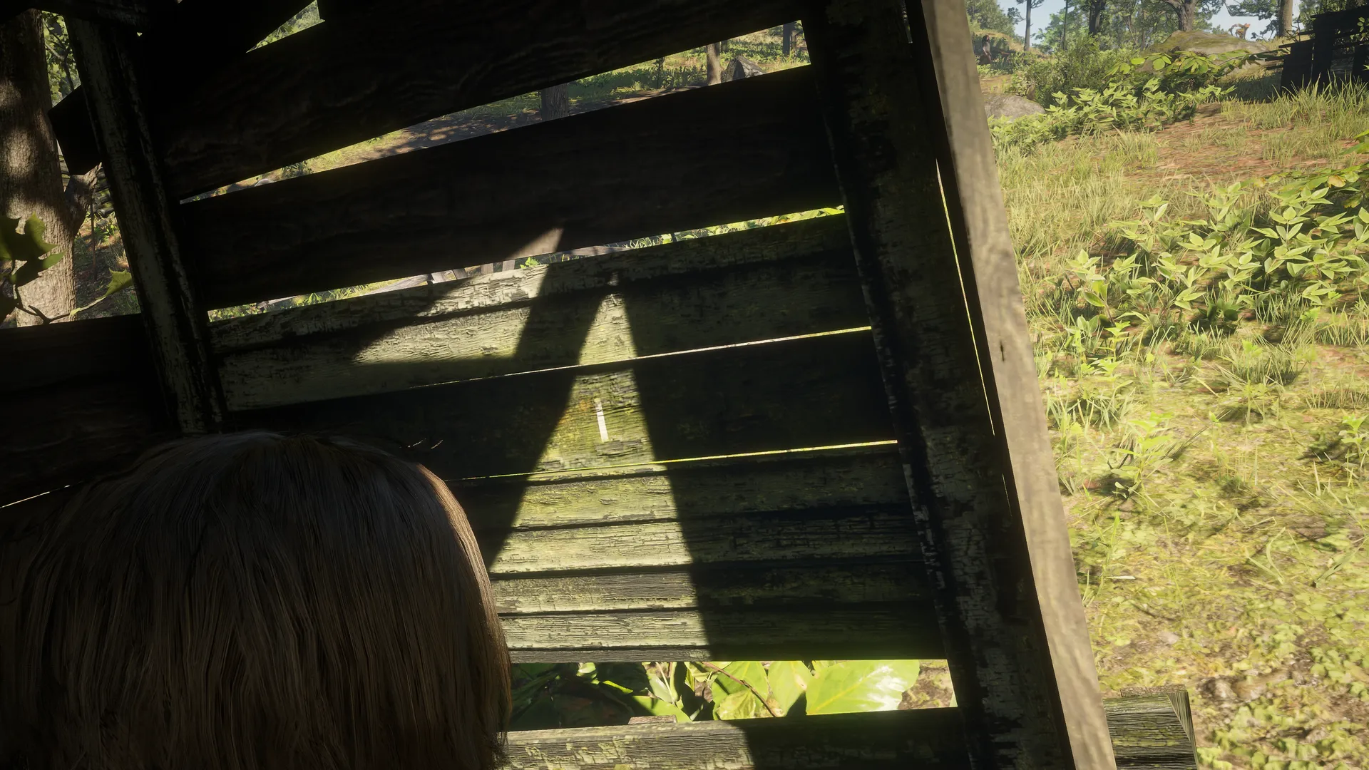 Arthur's over-the-shoulder view inside Outhouse 1, facing a single white tally mark on a dark wooden wall.